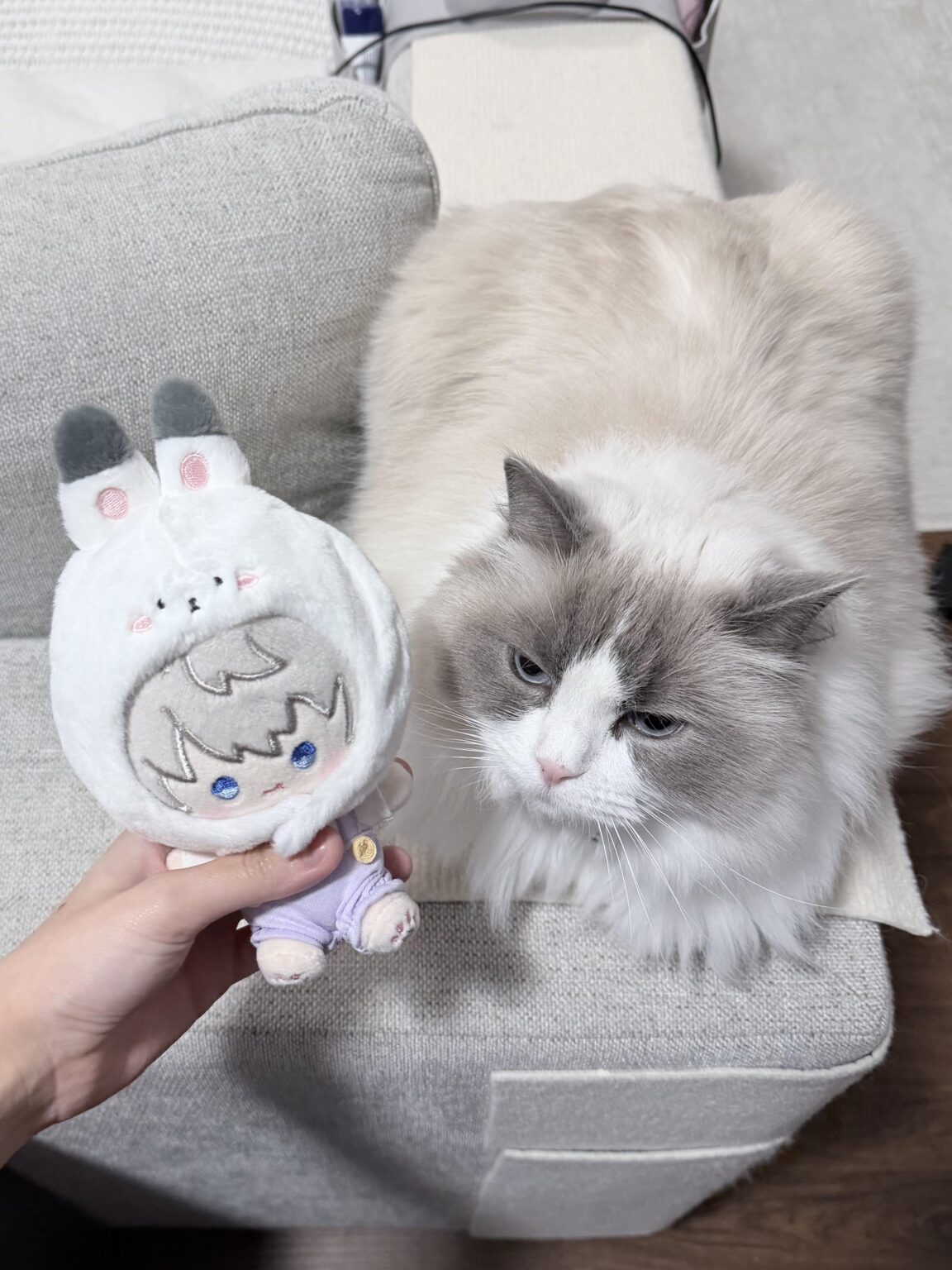 彼女は父親に会えてどんなに嬉しいか