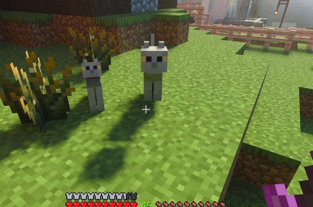 うちの猫が巨大な子猫を生みました。これは誰かに起こったことがありますか？