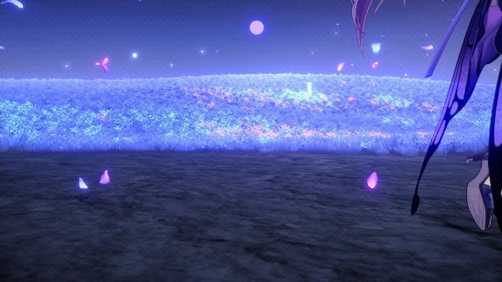 ゼーレの漏れによるカストリスの皮膚