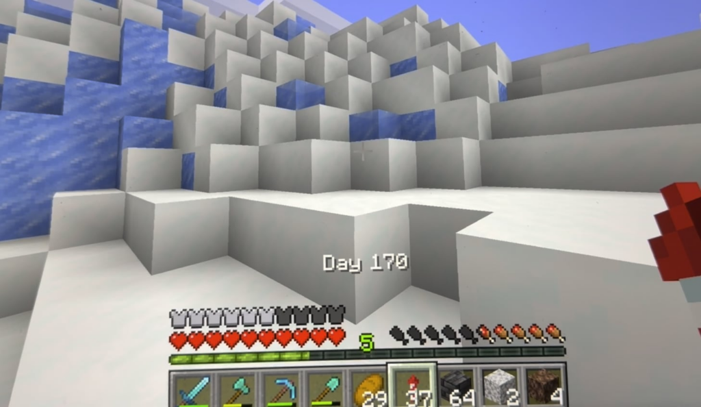 これまでで最も美しい種子