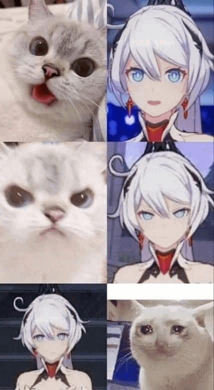 私たちの多くはキアナが猫と関係があることを忘れています