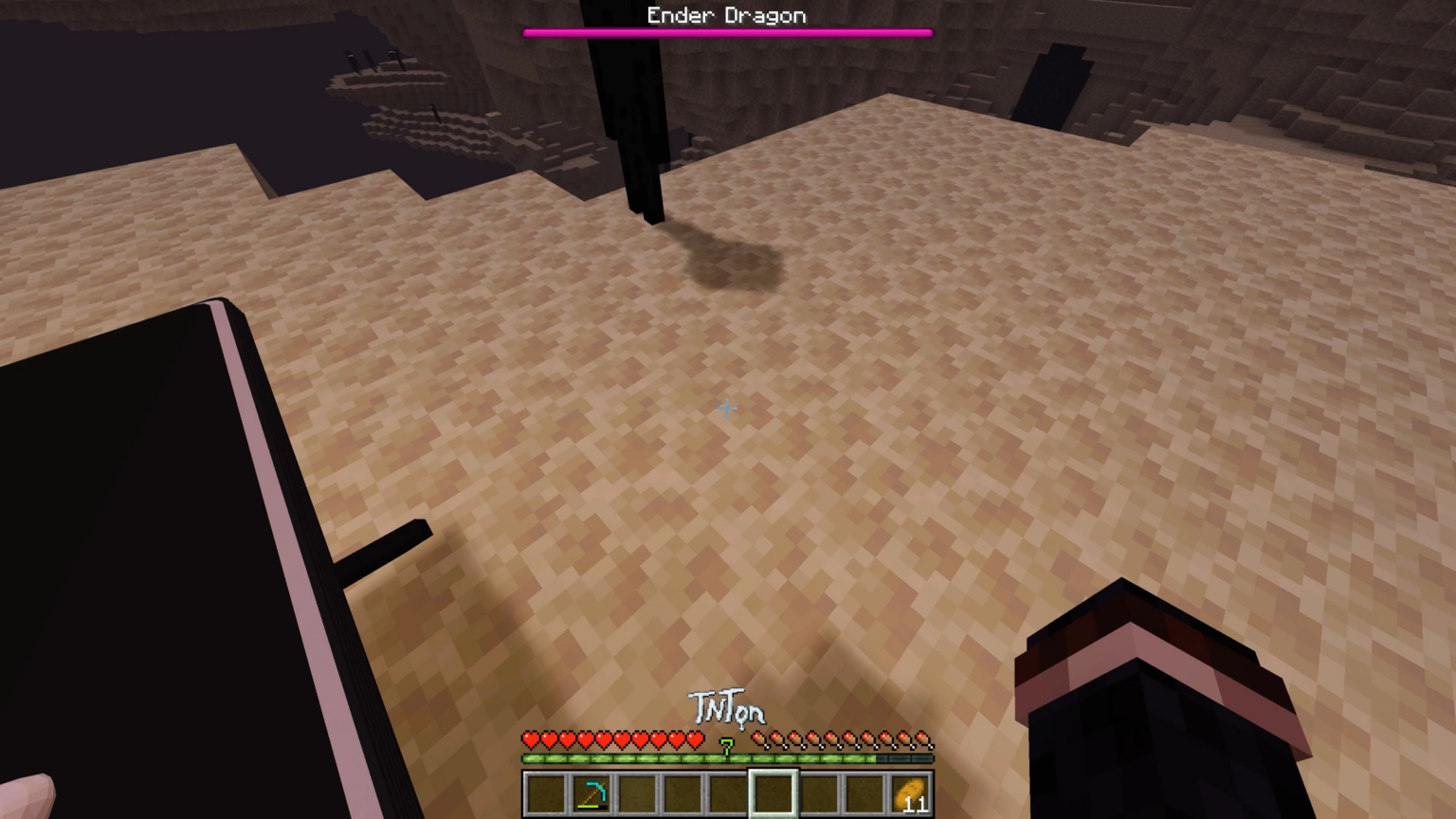 エンダーマンに 808 を見せる