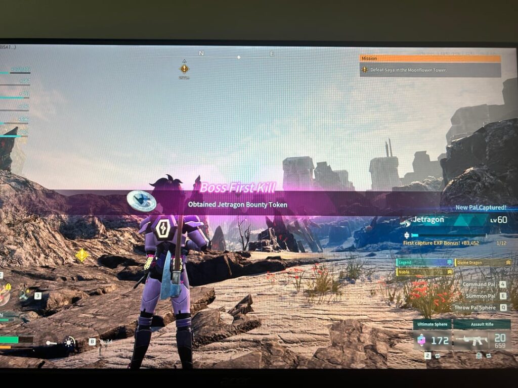 ジェトラゴンを初めて捕まえました！