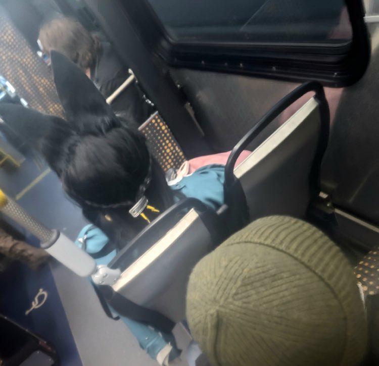 バスの中で出会った珍しい人