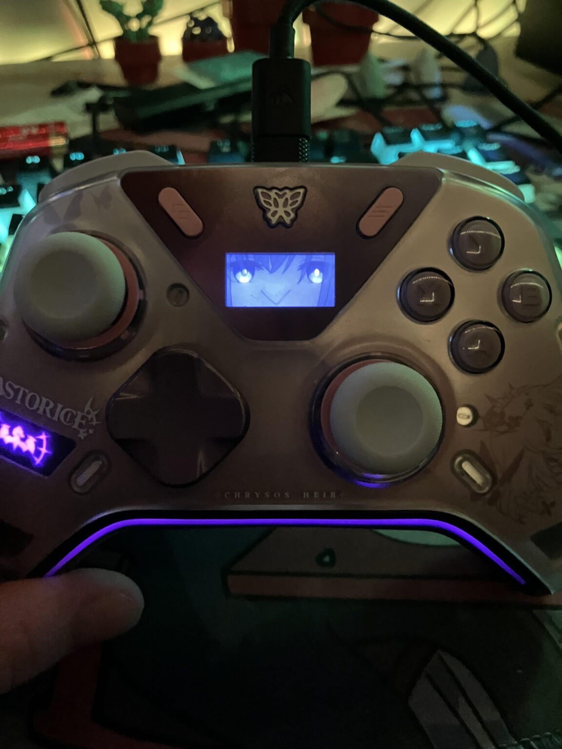 Castorice コントローラーを入手し、すぐに画面を次のように設定しました。