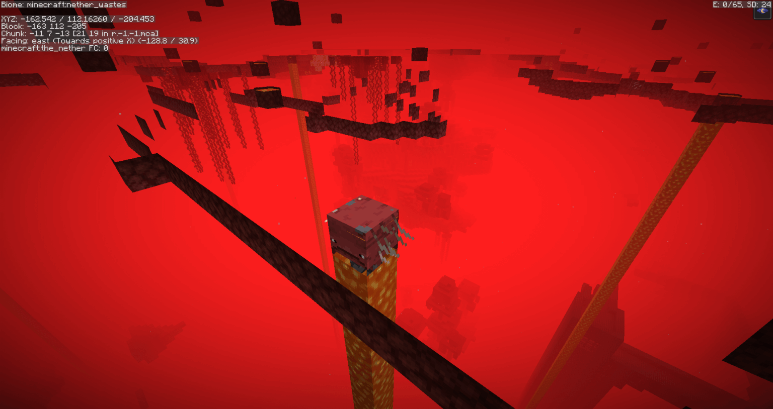 私はフリーカムを使ってネザーの屋根の下を覗き、金農園の下に何があるのか​​を確認していました。このかわいそうな奴を見つけた