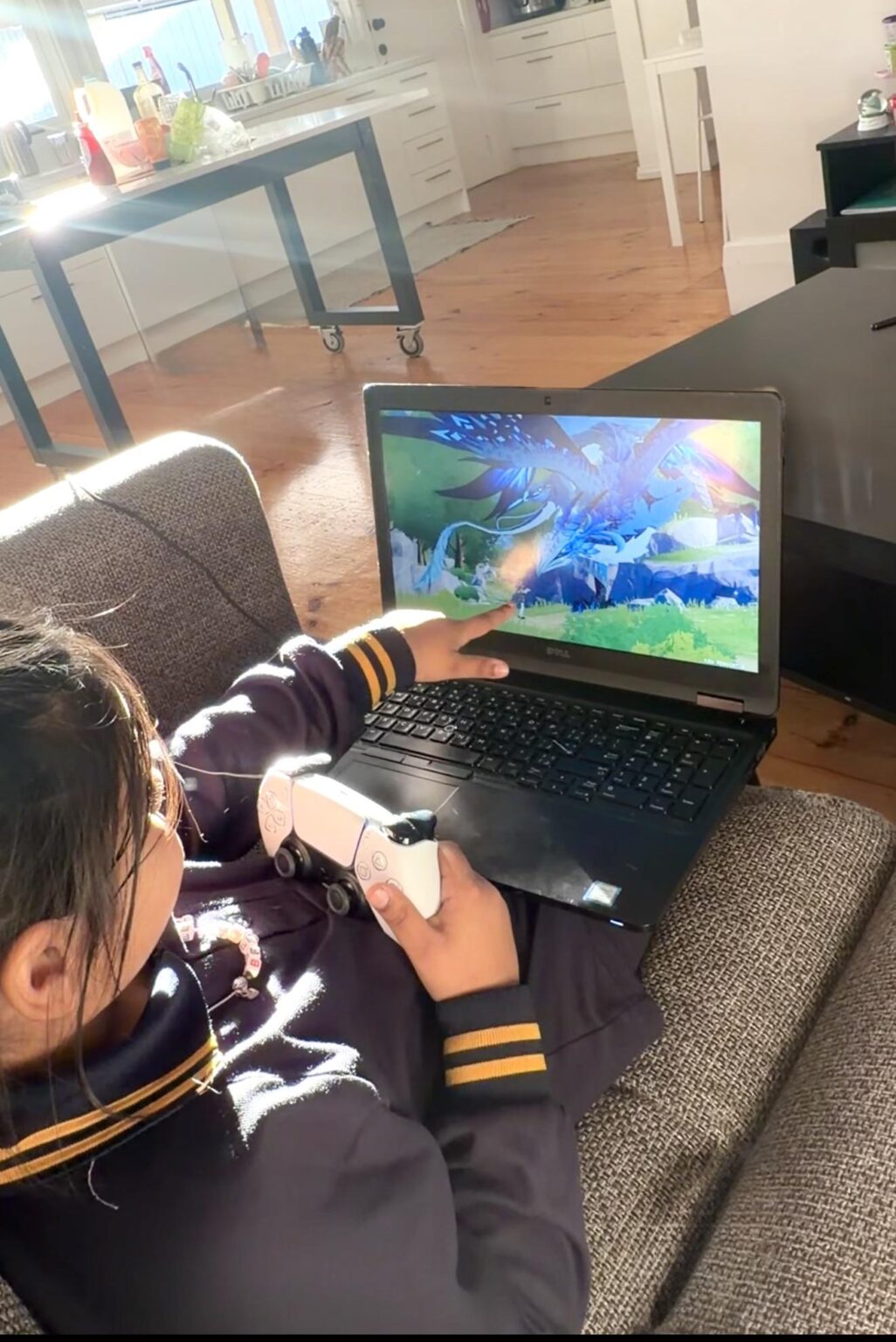 あまりにも長い間このゲームをプレイしてきたので、今では妹もプレイしています
