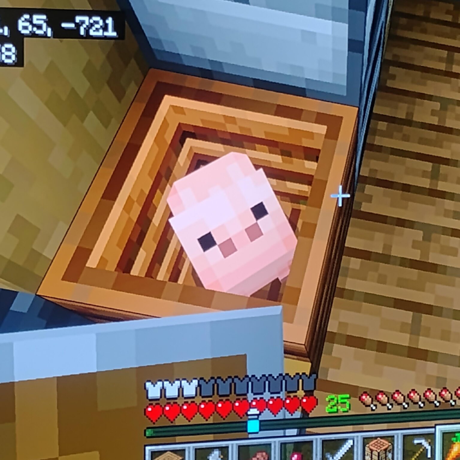 新しい Mincraft の豚が大好きです