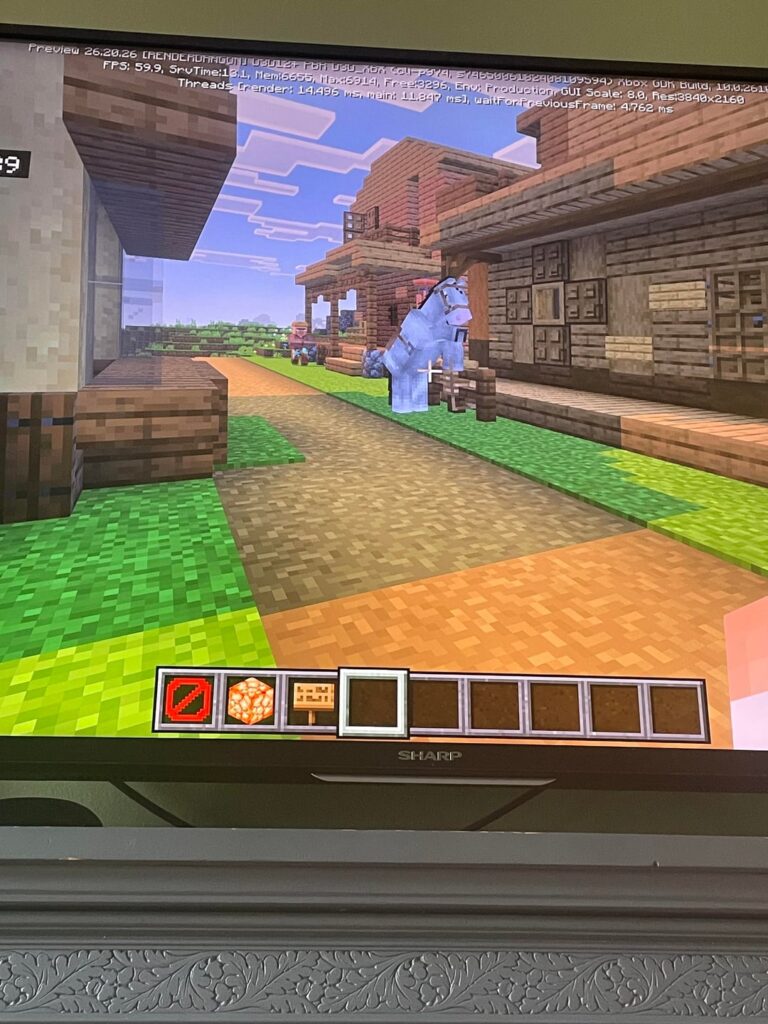 私のワイルドウェストタウン