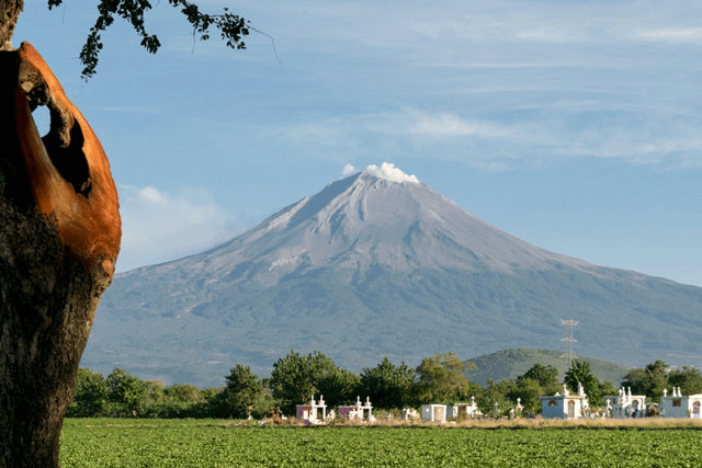リクエスト: まるで火山の周囲にあるような、真ん中に山がある巨大な平原バイオームですか?