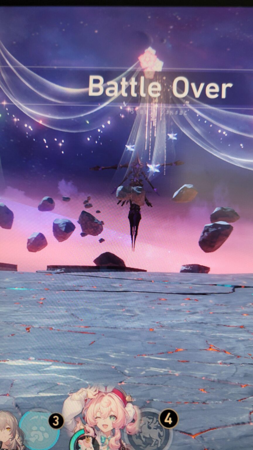 犬は何をしているのですか？