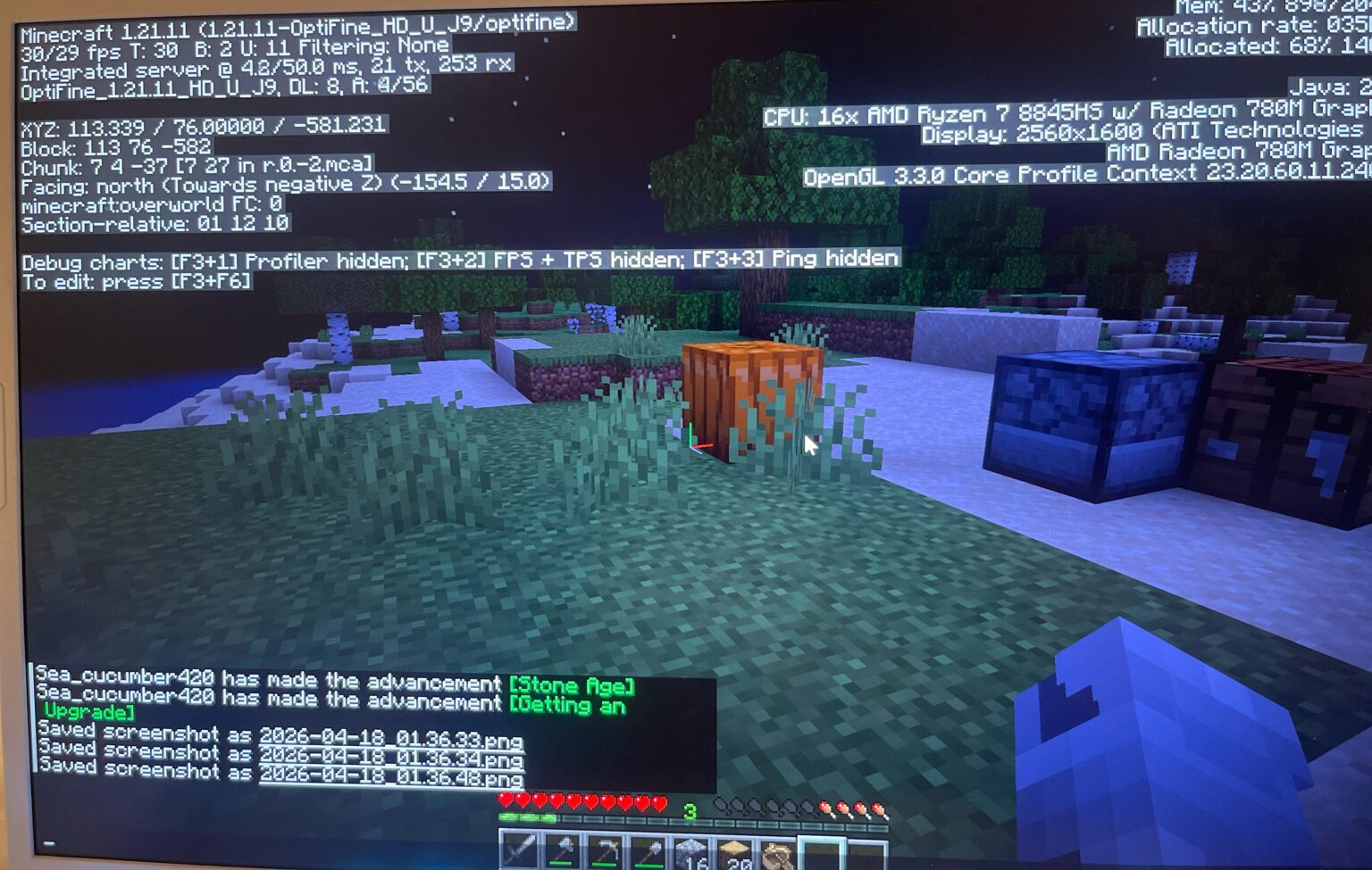 これは最小のカボチャ畑でしょうか？