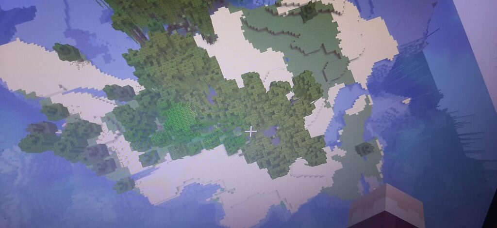 見つけた面白い種