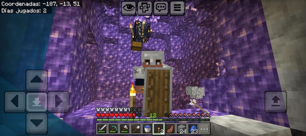 「内部にモブスポナーを備えたジオード（Bedrock Seed）」