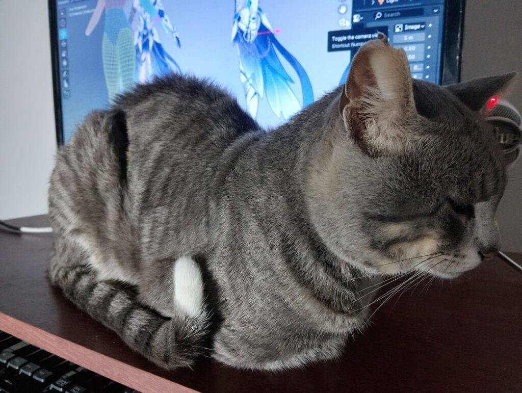 Honkai の世界にインスピレーションを得たキャラクターのモデリングに取り組んでいます…そして彼はまさにこの瞬間を選んで私の画面を占領しました。