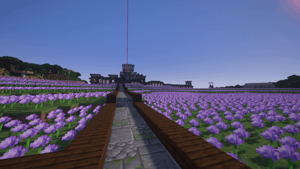 私の永遠の世界のアリウム畑