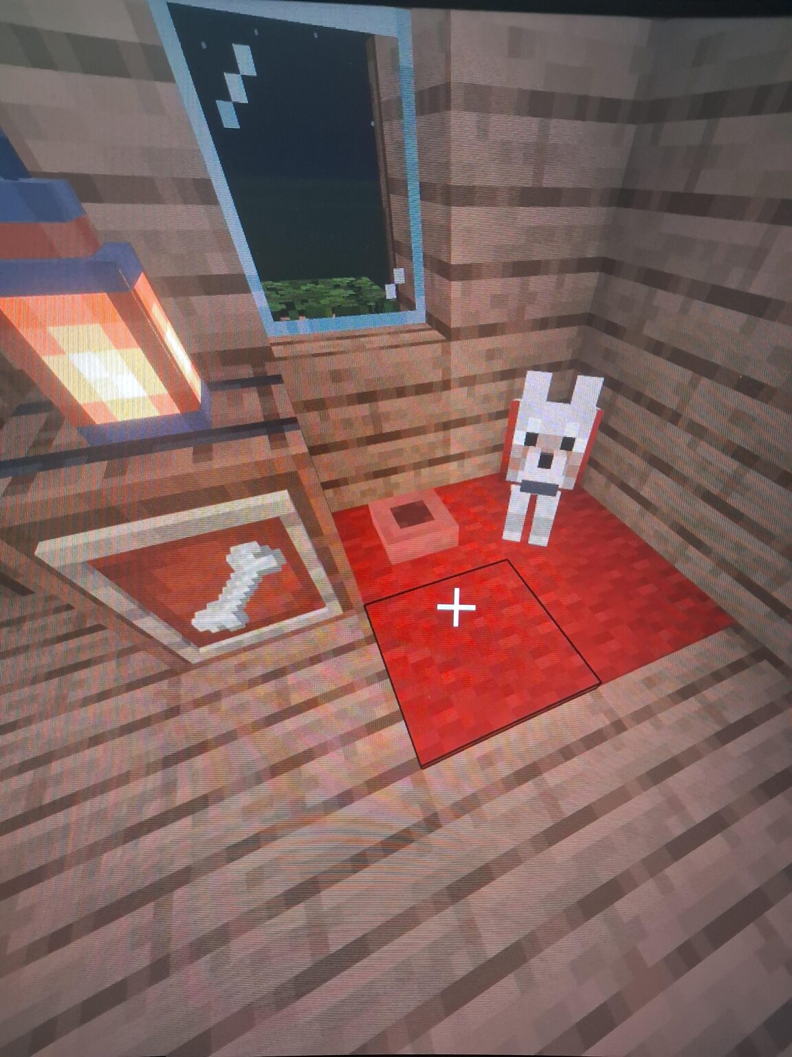 陶器の植物に赤いカーペットを敷くと犬の鉢みたいになります