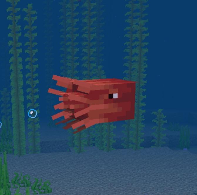 ザ・ナウト (バグロック)