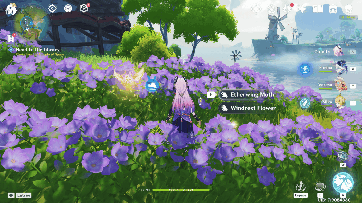 少なくともこの虫たちが近づいても飛び去らないのが本当に嬉しいです。どういうわけか、私はまだ彼らがそれをすることを期待しています。