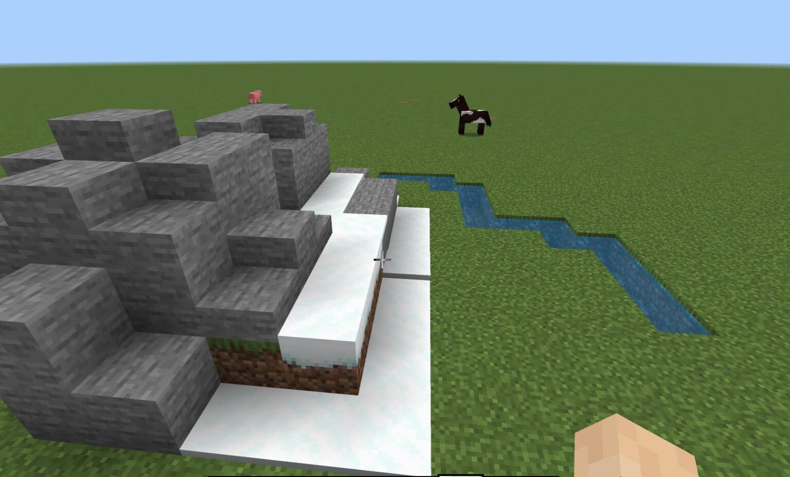 誰かこのような種を見つけるのを手伝ってくれませんか？