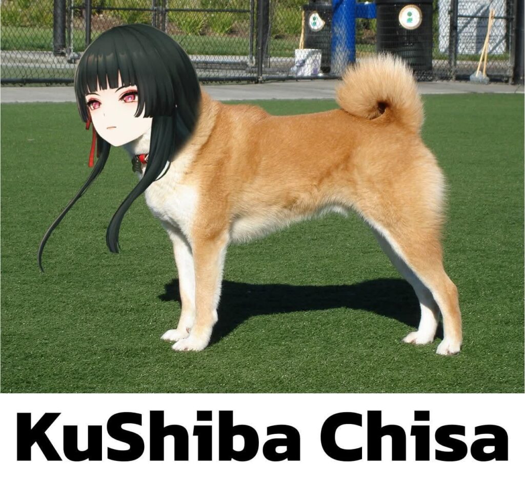 私のお気に入りのレゾネーター