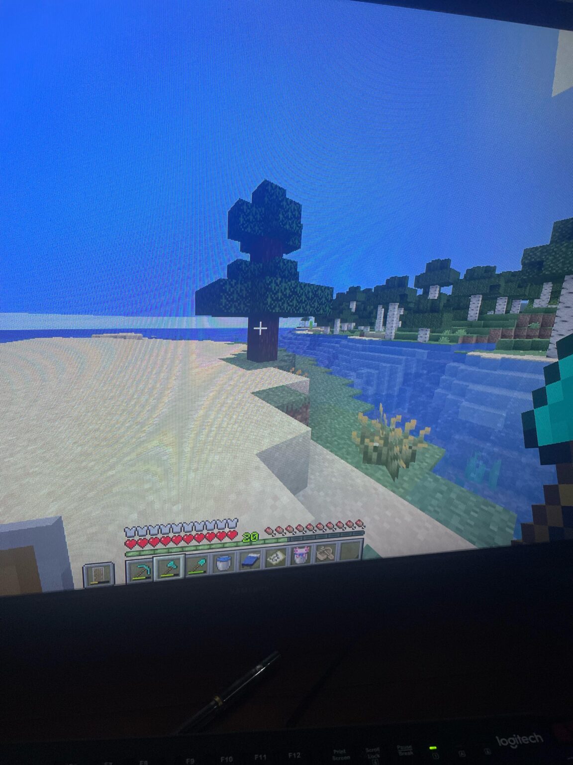 これまでで最小のトウヒバイオームのシード:-1348662226623049819 コード: 3740 64 954 Java 1.21.11