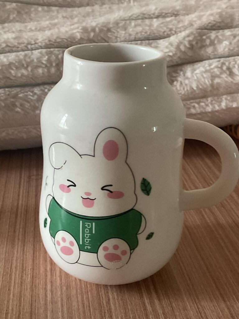 ザビエルが大好きなので、夫がこれを買ってくれました😭😭😭