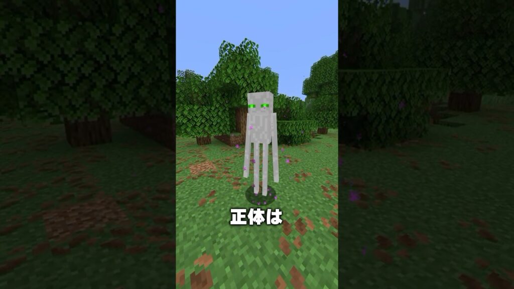 白いエンダーマンの正体【マイクラ】