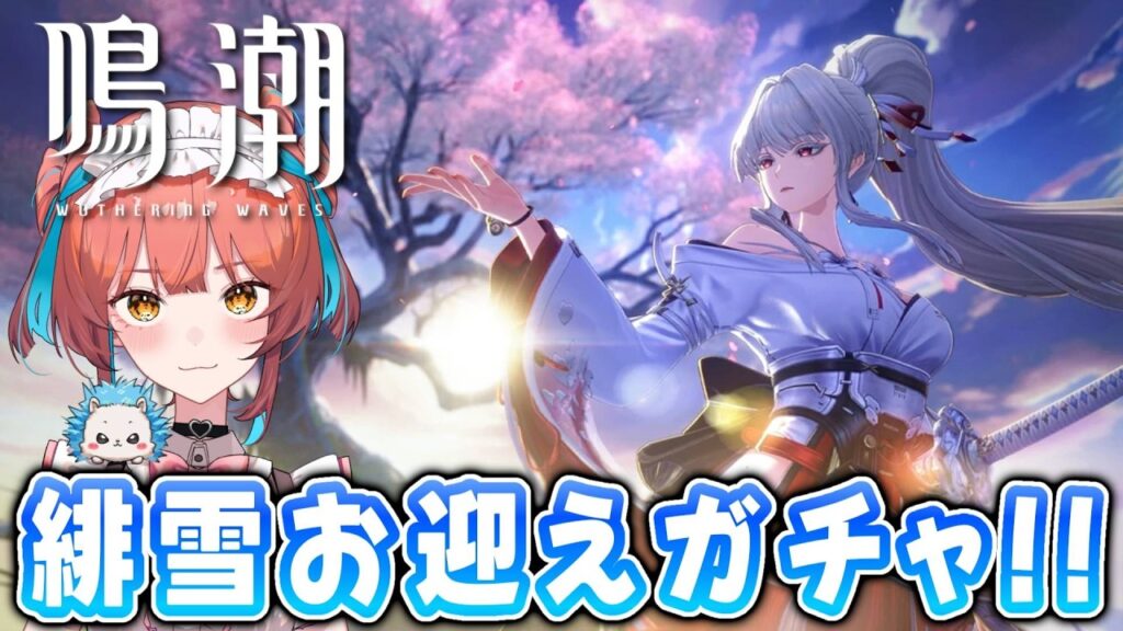 『鳴潮（Wuthering Waves）』Ver3.3 緋雪お迎えガチャ❄終わったら育成、参加型マルチなど👀✨【VTuber 】