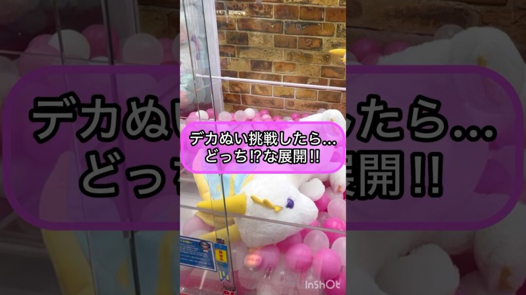 【クレーンゲーム攻略】デカぬい挑戦したら...どっち！？な展開！！