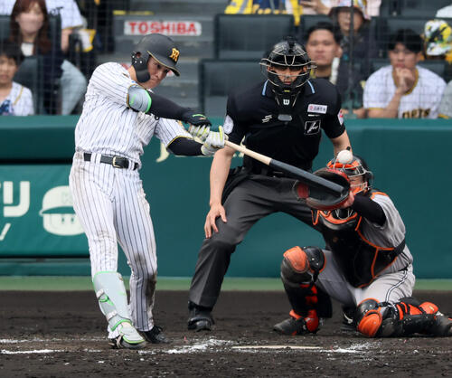 阪神対巨人 7回裏阪神1死満塁、高寺望夢は適時打を放つ(撮影・加藤哉)