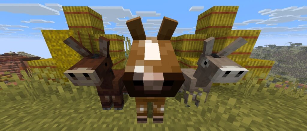 新しい見た目の赤ちゃんマウントを試しましょう! | Minecraft A closeup of a baby mule, foal, and baby donkey standing in front of hay bales