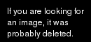 NPCはNPCをやっている