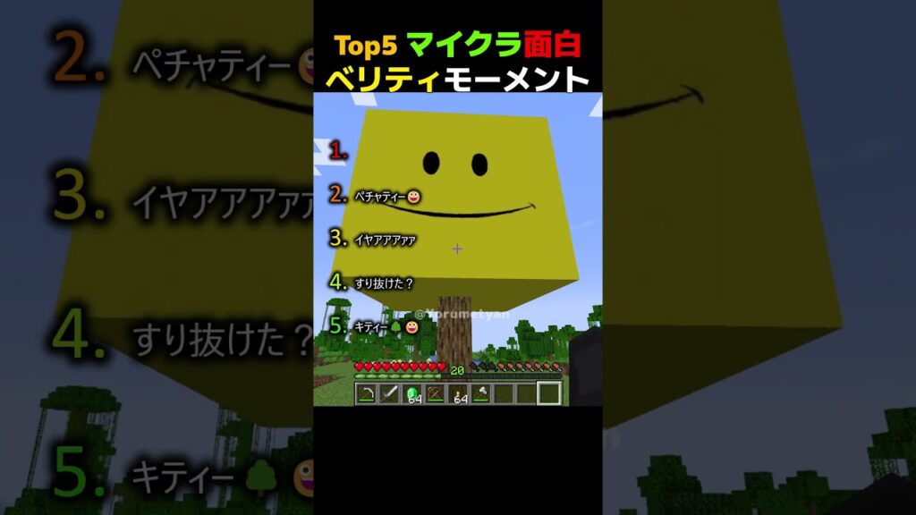 【マイクラ】ベリティ面白い瞬間モーメントTOP5 【まいくら・マインクラフト・minecraft・funny・moments】 #minecraft   #マインクラフト #verity